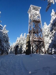 Zdjęcie 1 KM- Bakchus