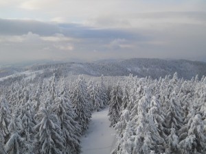 Zdjęcie 2 KM- Bakchus