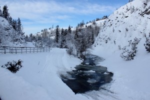 Zdjęcie 7 KM- Bakchus