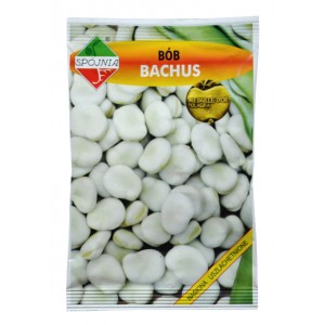 bob-bachus-50g